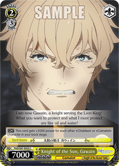 FGO/S87-E022 C  Knight of the Sun, Gawain