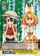 KMN/W51-031 C Serval, Good Ears