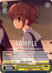 GRI/S72-E005	R Afterschool Sunset, Makina