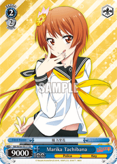 NK/W30-TE17 TD Marika Tachibana