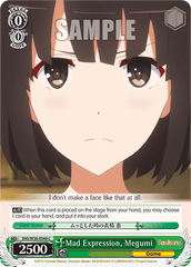 SHS/W56-E048 C Mad Expression, Megumi