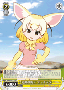 KMN/W51-028 C Fennec, Following!