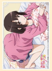 Bushiroad Sleeve Collection High-grade Vol. 3400 