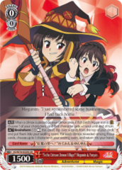 KS/W76-E029S SR  