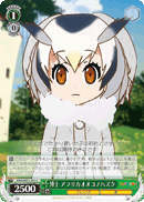 KMN/W51-052 C Northern White-faced Owl, Professor