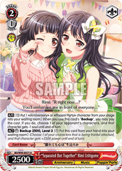 BD/W95-E071 U  