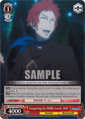 DDM/S88-E102 PR  Conquering the Middle Levels, Welf
