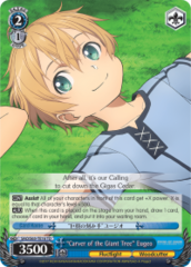 SAO/S65-TE16 TD  