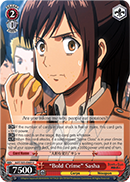 AOT/S35-E069 U 