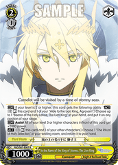 FGO/S87-E007 R  In the Name of the King of Storms, The Lion King