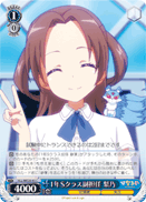 HLL/WE28-45 C Rino, Vice Homeroom Teacher of Class 1-S
