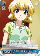 NR/W58-072 U Shamal, Mother Role in the Yagami Household