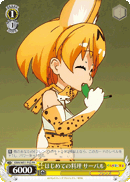 KMN/W51-P02	PR Serval, First Time Cooking