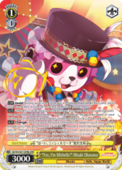 BD/W54-E011SPMb SPM 