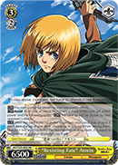 AOT/S35-E002 RR 