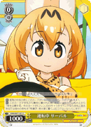 KMN/W51-021 C Serval, Driving