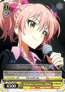 IMC/W41-E009 R Reliable Senior, Mika