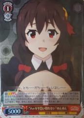 KS/W49-043R RRR 