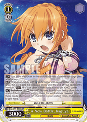 DAL/W99-E005 R A New Battle, Kaguya