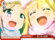 HLL/WE29-25 C Perfect Smiles
