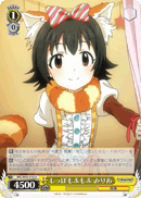 IMC/W43-016 U Miria, Fluffy Tail