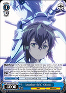 SAO/SE23-TE13	TD Another Self, Shino