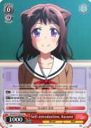 BD/W47-TE03 TD Self-introduction, Kasumi