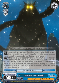 RZ/S46-E080 U  Intense Ire, Puck
