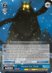 RZ/S46-E080 U  Intense Ire, Puck