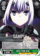 DAL/W79-039	C Origami, Snap Judgment
