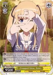 SHS/W71-E008 R  Cropped View, Eriri