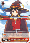 KS/W49-T05 TD 
