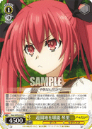 DAL/W79-019	C Kotori, Enjoying Amusement Park