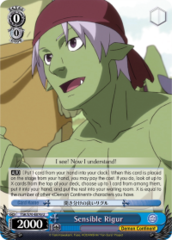 TSK/S70-E076 U Sensible Rigur