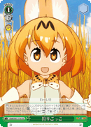 KMN/W51-T18 TD Play Hunting