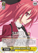 DAL/W79-007	R Kotori, To Save the Spirits