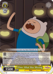 AT/WX02-007 R Finn: What Was Missing