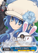 DAL/W79-095 C Yoshino, Under the Blue Sky