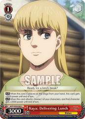 AOT/SX04-060	C Kaya: Delivering Lunch