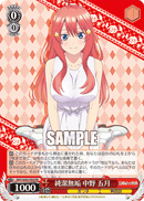 5HY/W83-P05	PR Itsuki Nakano, Innocence