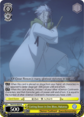 TSK/S70-E004 R Cutting Down in One Blow, Hakurou