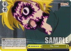 SDS/SX05-027 CR The Trial