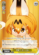 KMN/W51-027 C Serval, Did Well?