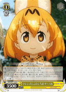 KMN/W51-009 R Serval, Saying Hi to Friends