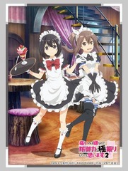 Bushiroad Sleeve Collection High-grade Vol. 3733 