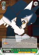 KMN/W51-047 U Gray Wolf, Horror Writer