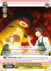CCS/WX01-015a U  Toya: Mean Big Brother