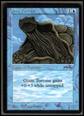 Giant Tortoise (b) light