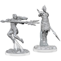 Sea Elf Fighters (Nolzur's - W20)