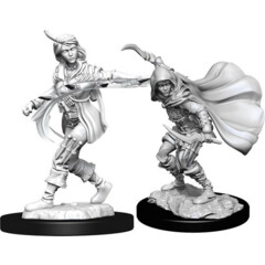 Human Rogue Female (Deep Cuts -W14)